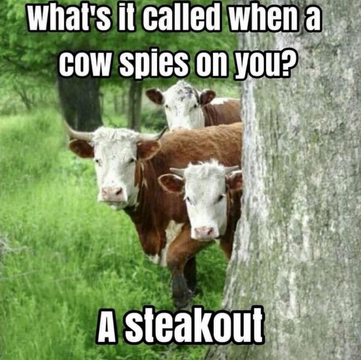 A Steakout - meme