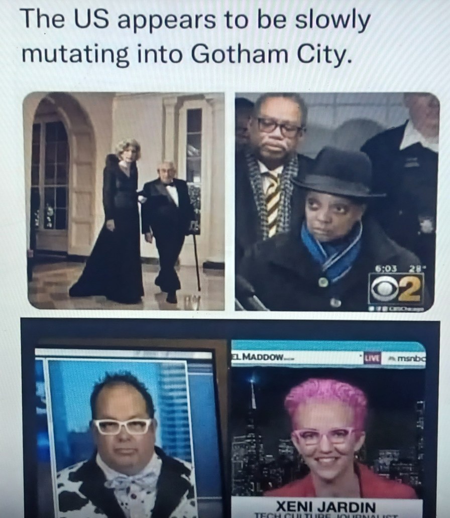 FOR GOTHAM - meme