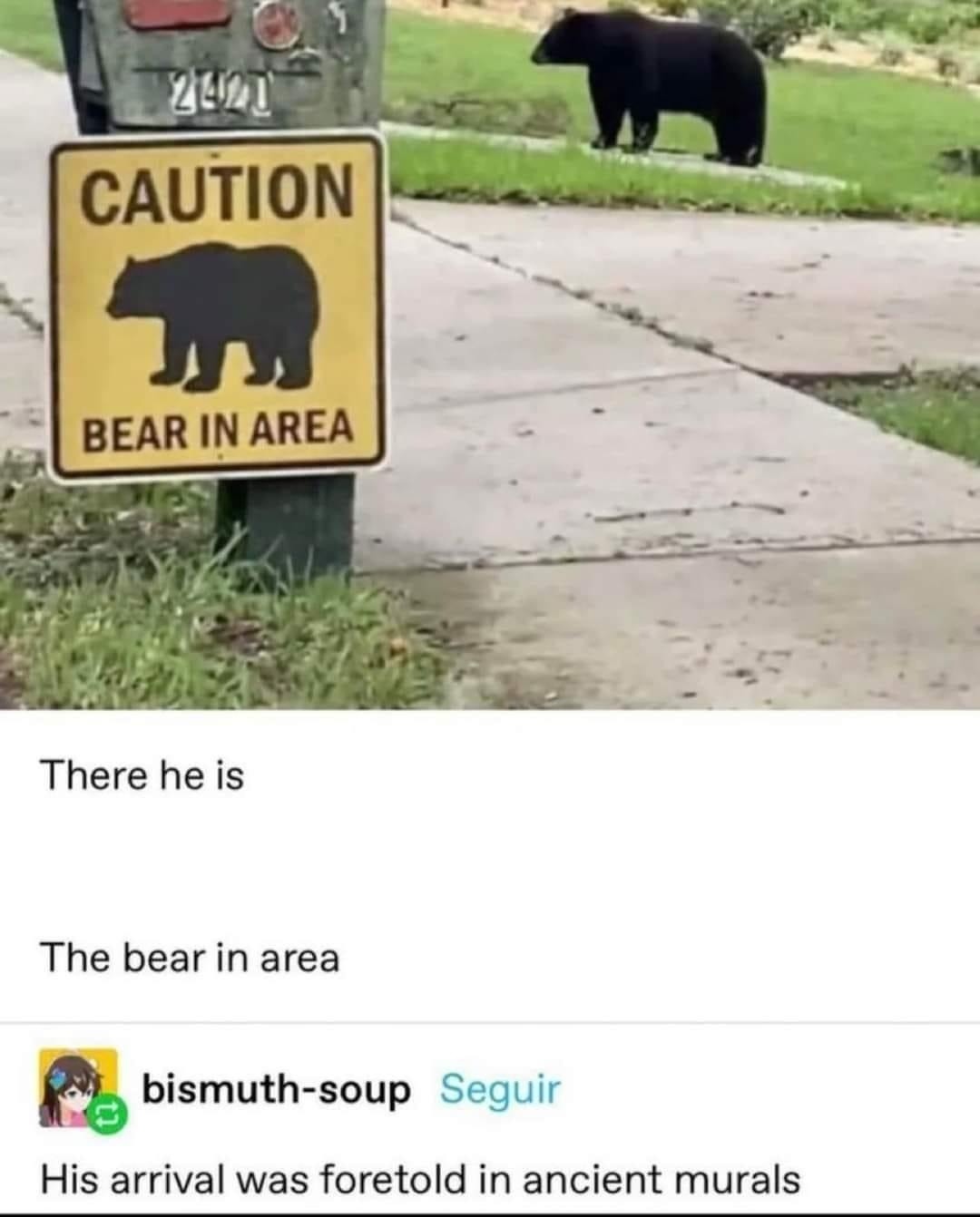 There he is. The bear in area. The prophecy has begun - meme