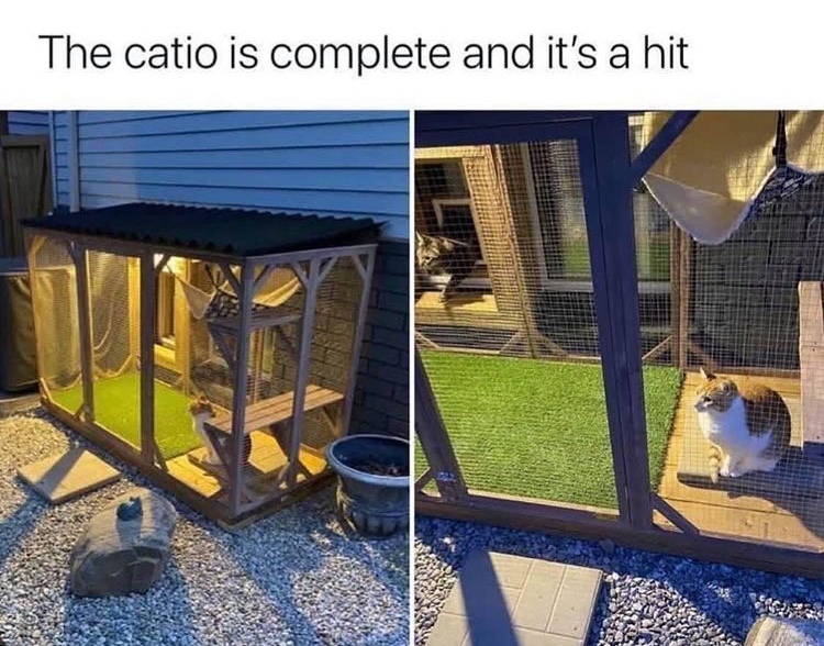 The best Patio memes ) Memedroid