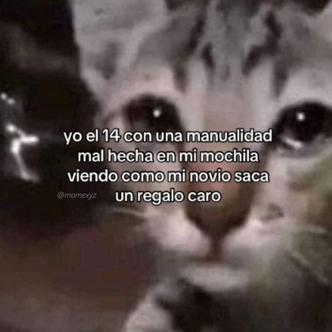 memes del 14 de febrero