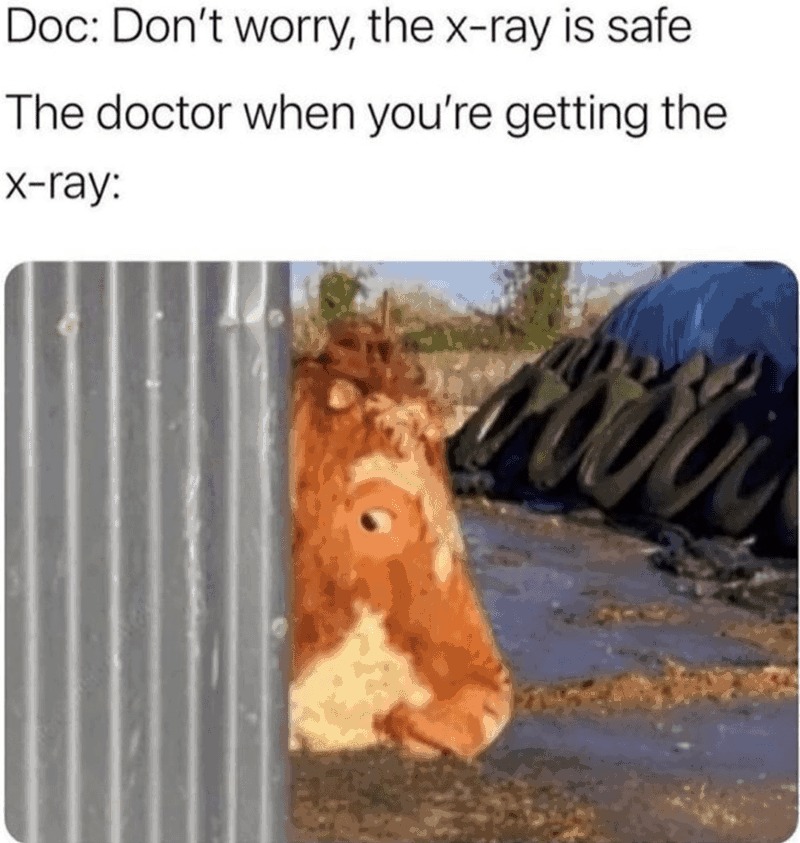 It is totally safe - meme
