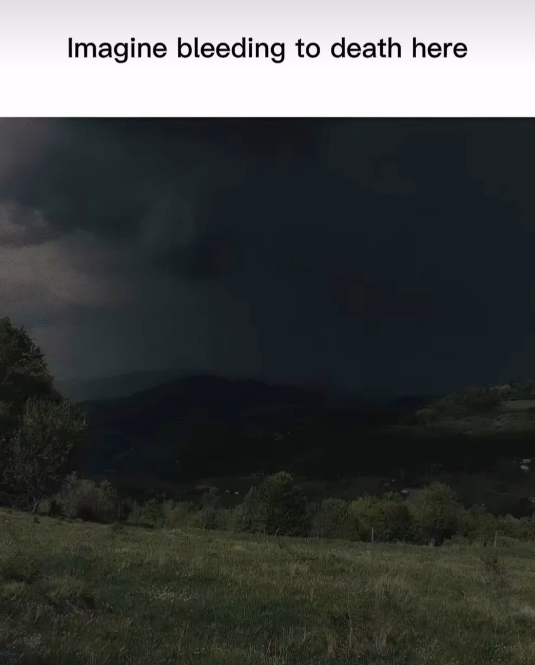 Imagine bleeding out here... zero stars would not recommend - meme