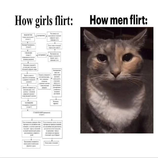 how flirting works: gender edition - meme