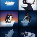 Titanic version pingouin