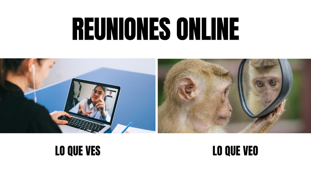 Reuniones Online - meme