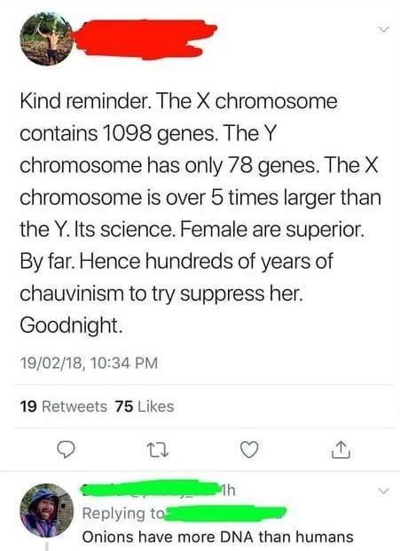 Genes in chromosomes - meme