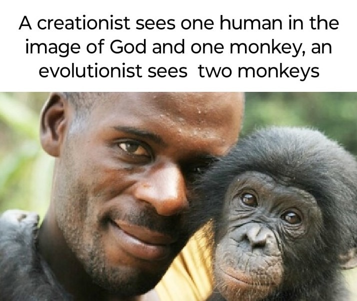 Creation vs evolution - meme