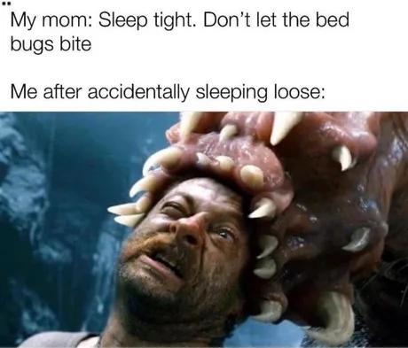 Slept loose once and now the bed bugs own my soul - meme
