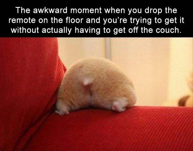That remote is NOT getting me off the couch - meme