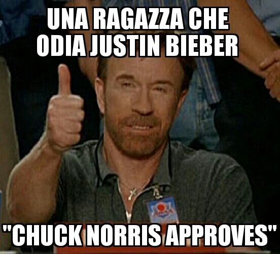 Chuck Norris Approves - meme