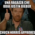 Chuck Norris Approves