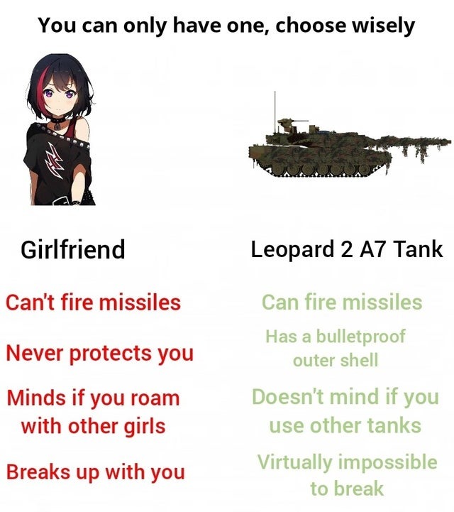 You can only have one, choose wisely. Girlfriend or Leopard 2 A7 tank - meme