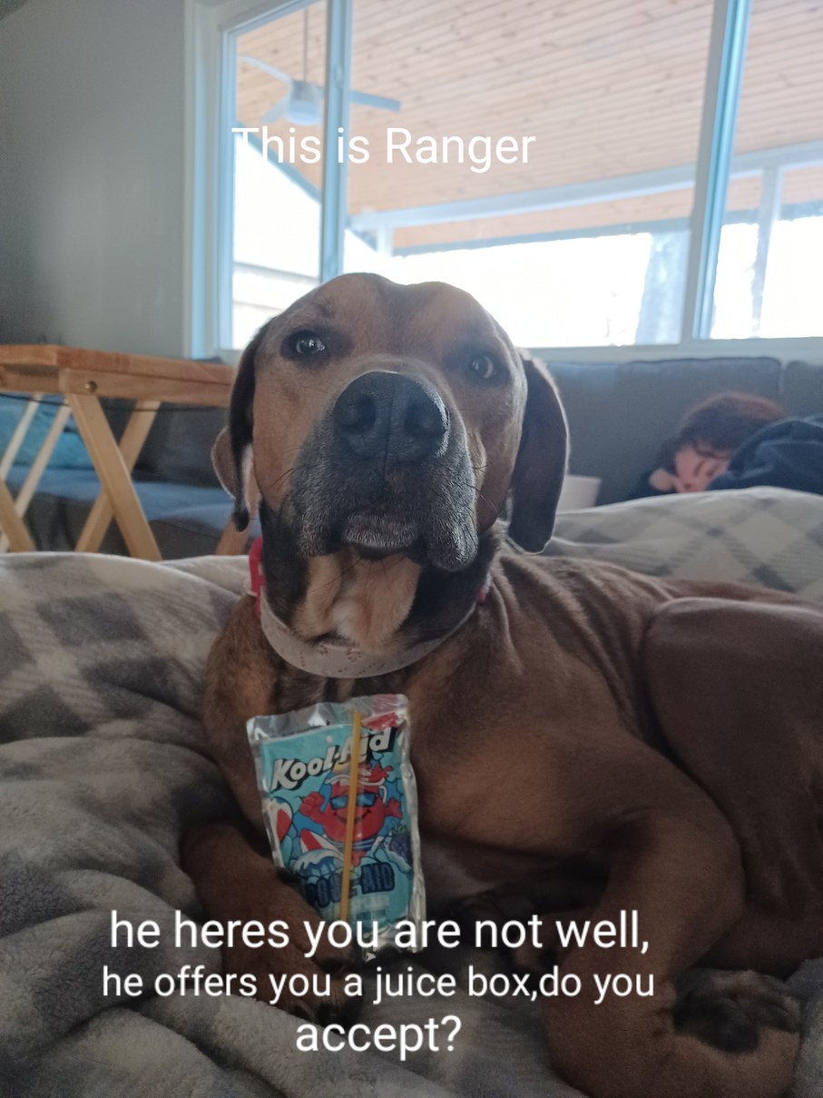Ranger - meme