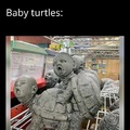 I like turtles