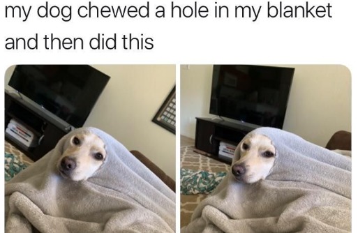I'd leave the blanket like that - meme
