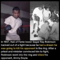 1947 boxing story