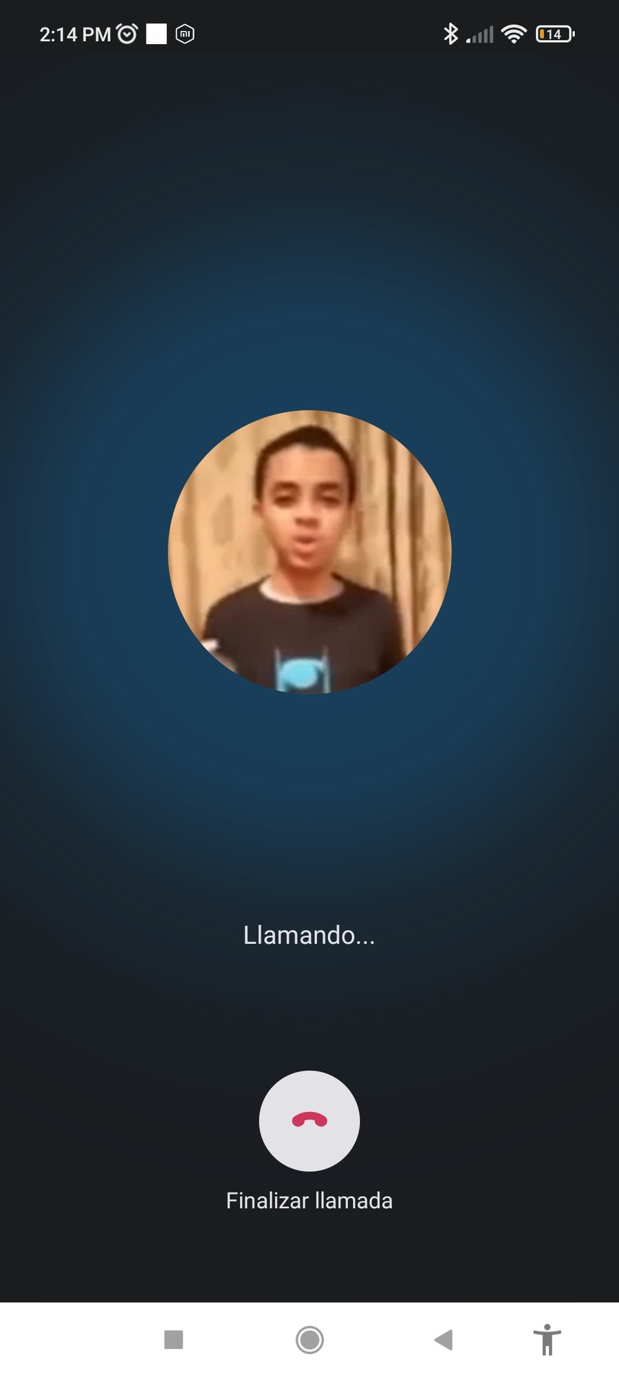 my talking anas - meme