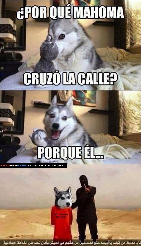 Y fue el fin para firulays - meme