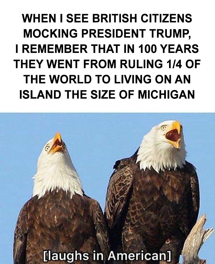 When I see British Citizens mocking President Trump... - meme
