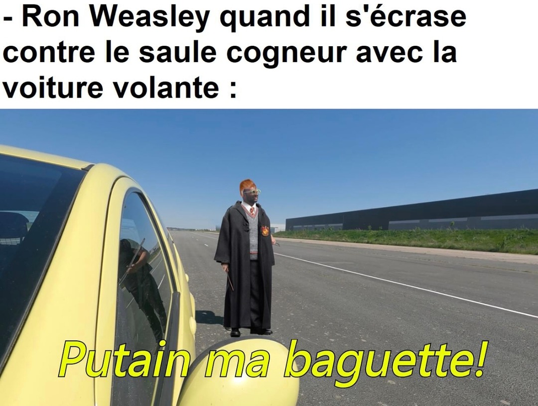 Ron qui teste l'airbag du saule cogneur avec sa gueule - meme