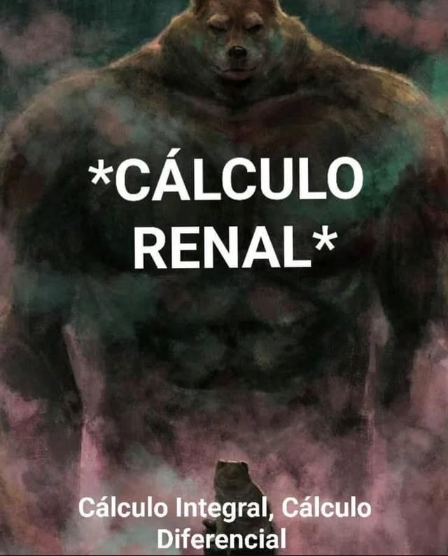 Cálculo renal vs cálculo integral: ambos duelen pero uno más - meme