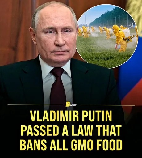 Putin passed a law that bans all GMO food - meme