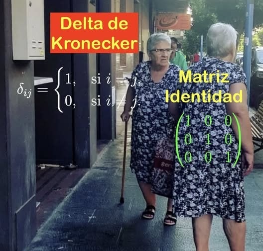 El Delta de Kronecker y la matriz identidad en modo troll - meme