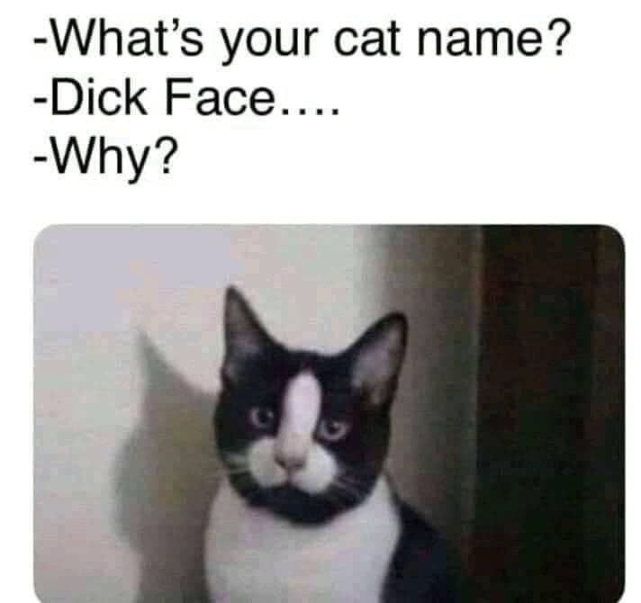 The Dick Face - meme