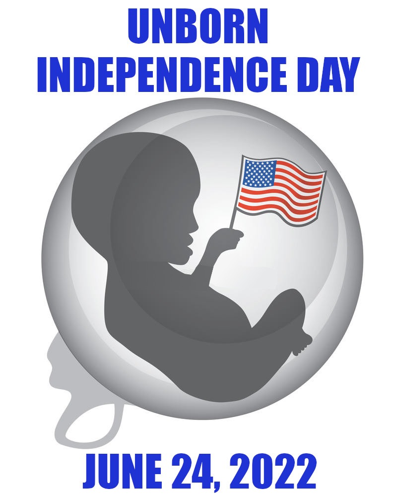 Unborn Independence Day - meme
