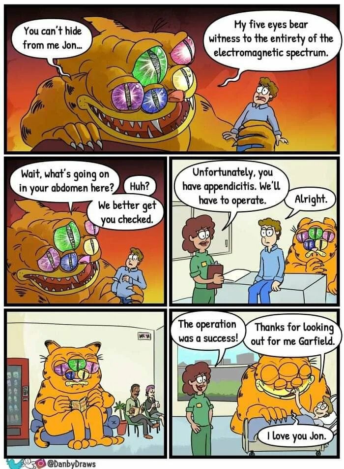 Garfield and the wellness check from the 4th dimension - meme