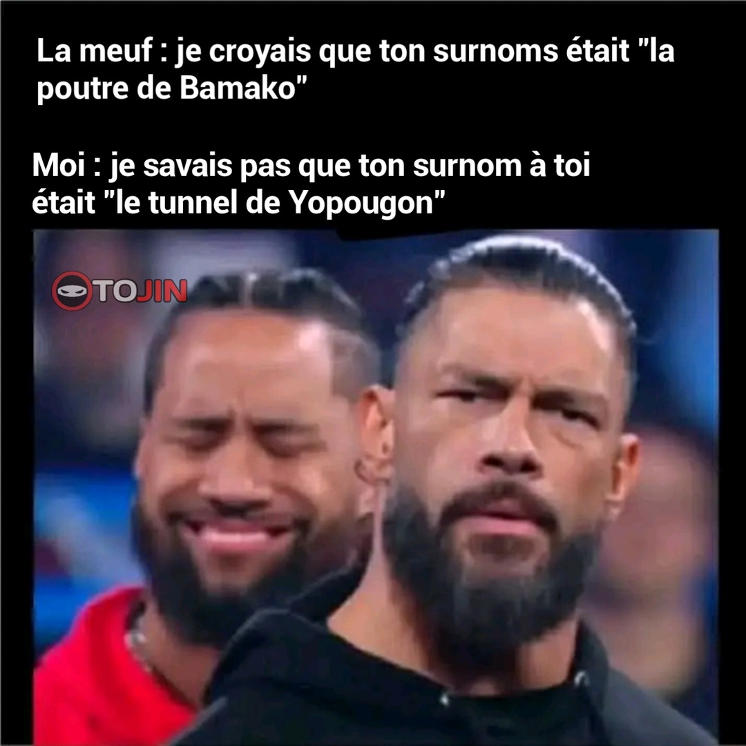 Des professionnels - meme