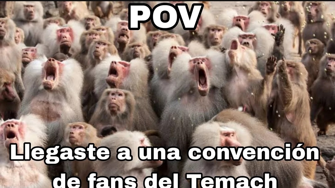 Pinche podcast pedorro para incels y simps - meme