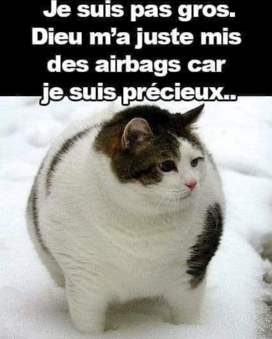 C’est pas du gras, ce sont des airbags de protection - meme