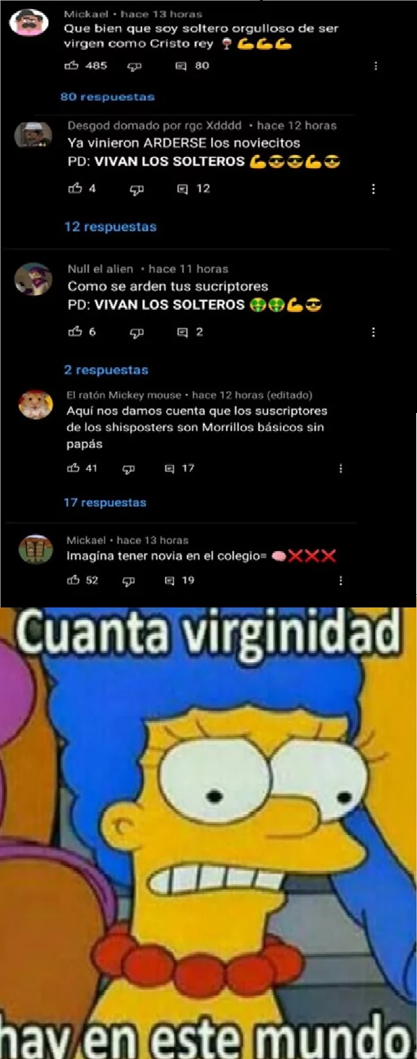 MALDITOS TEMACHEROS COMEVERGAS Y GAYS - meme