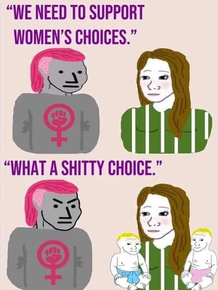 Modern Western Feminist - meme