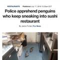 Penguins detained by New Zealand police after sushi shop stakeout