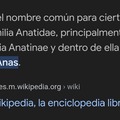 Anas