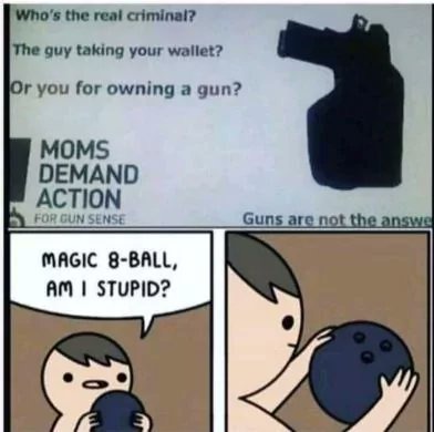 Gun grabbers are dumber than a box of rock - meme