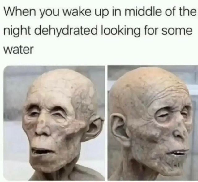Looking for water in the middle of the night - meme
