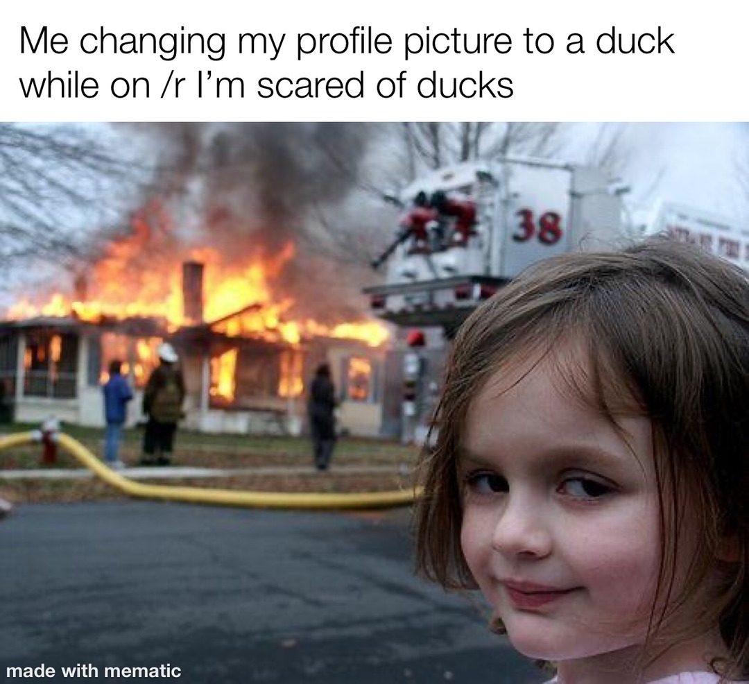 Duck2.0 - meme