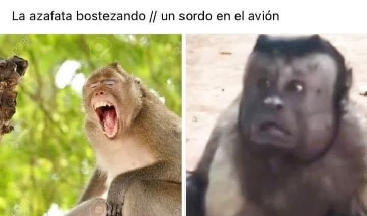 Cuando se actualizó memedroid?