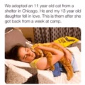 commented item thumbnail