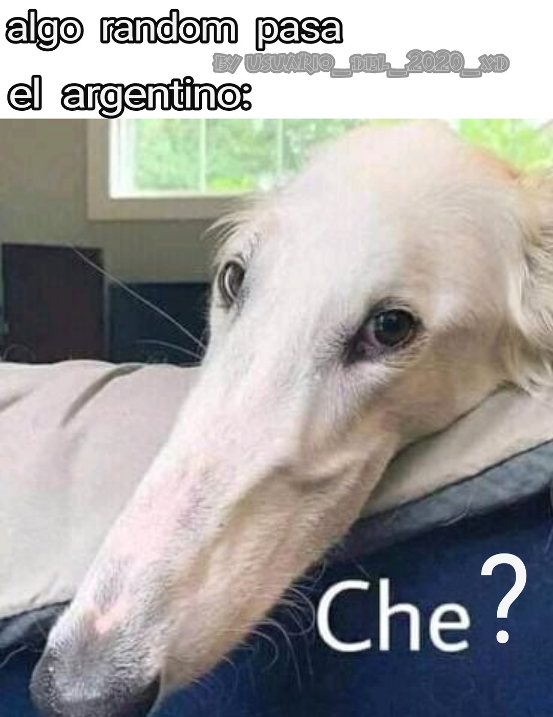 che - Meme subido por usuario_del_2020_xd :) Memedroid