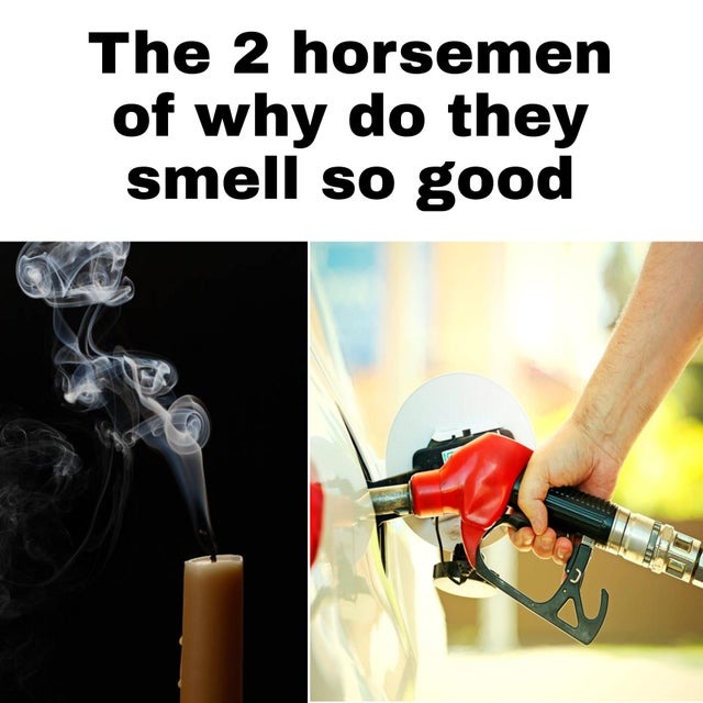 Why do these things smell so good? - meme