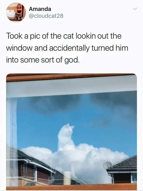 Cat god - meme