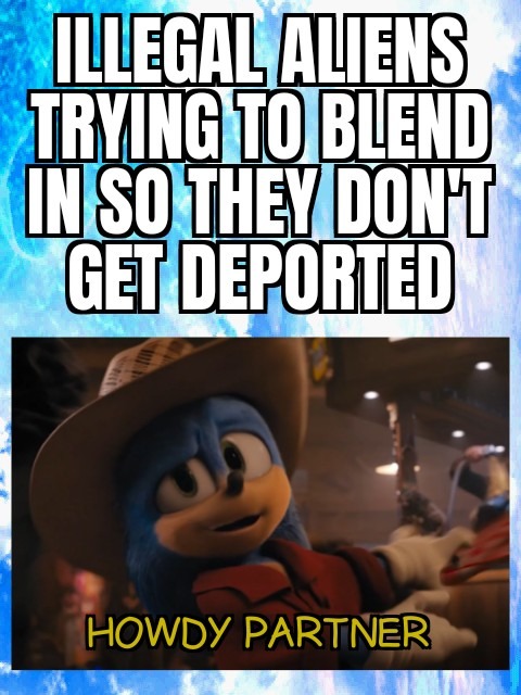 Deport Every Illegal - meme