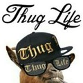 I didn't choose the thug life