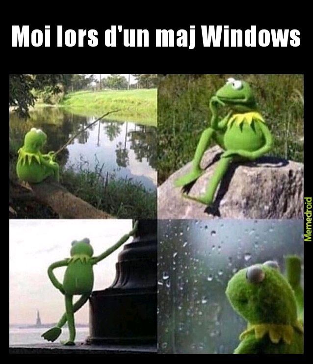 Moi lors d'un maj Windows - meme