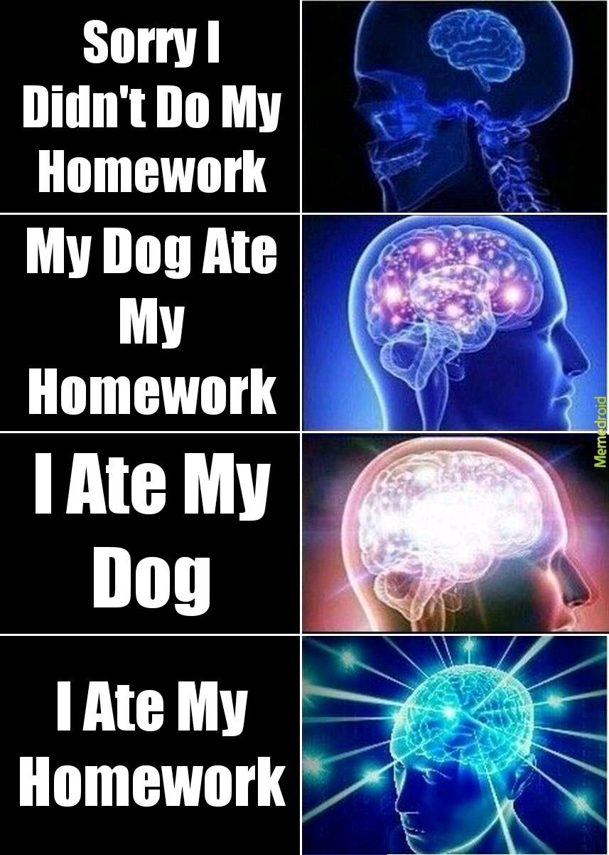 Homework - meme